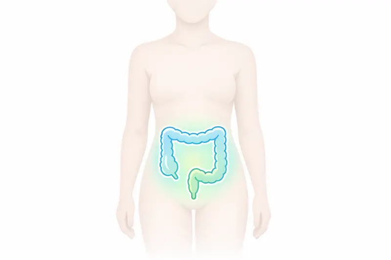 Gender-neutral human figure showing colon highlighted, preparing for a medical examination in a clean, minimalistic style.