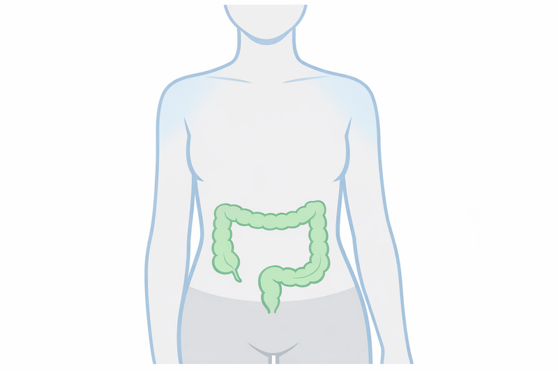 Koloskopie: Was Sie davor, währenddessen und danach erwartet