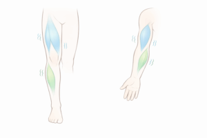 Muscle Twitching: When It’s Harmless vs Worth Checking