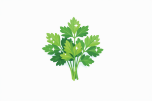 Parsley Nutrition: Vitamins, Health Benefits, and Possible Risks