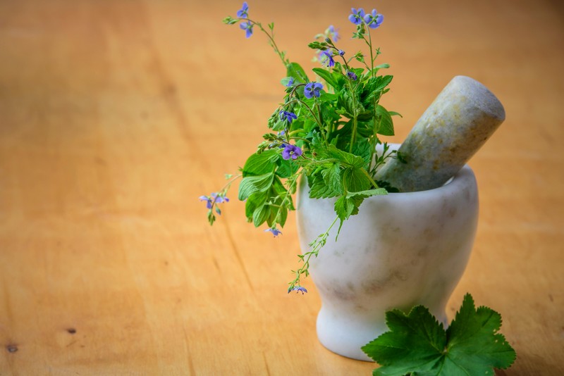 Parsley: benefits and harms for the human body