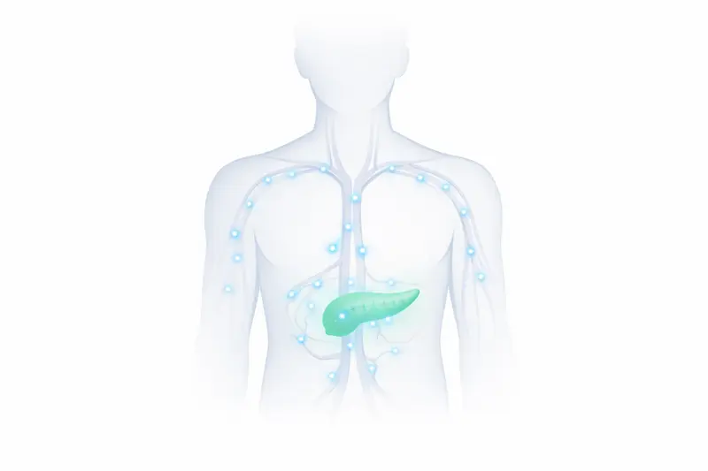 Vereinfachte menschliche Figur mit hervorgehobener Bauchspeicheldrüse und Glukosemolekülen, die einen hohen Nüchternblutzucker visuell darstellen.